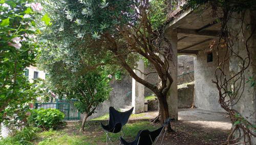 Low-mountain house with terrace and garden, near Lake Maggiore - Foto 3, Garden, Garden view