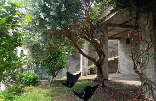 Low-mountain house with terrace and garden, near Lake Maggiore - Foto 3