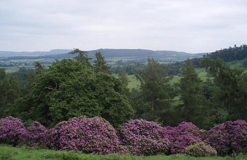 Lower Buckton Country House - Sleeps 12 - Foto 94