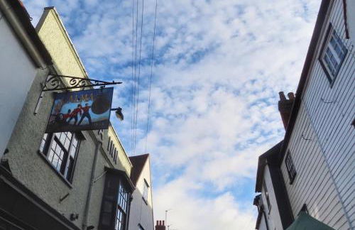 Wellie Stern - Foto 13