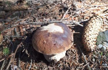 Kolej na sudety - Foto 77