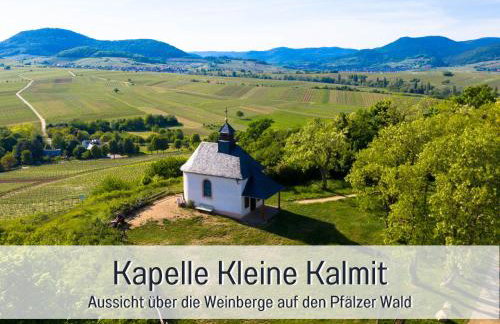 WINETIME - Apartment Roschbach - für bis zu 5 Personen - idyllisch an den Weinbergen der südlichen Weinstraße zwischen Landau und Neustadt gelegen - Photo 6