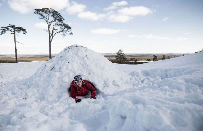 Nuit dans le Parc National Pyhä-Luosto - Photo 6