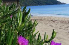 LA DOLCE VITA MAZET A GASSIN GOLFE DE SAINT TROPEZ - Foto 42