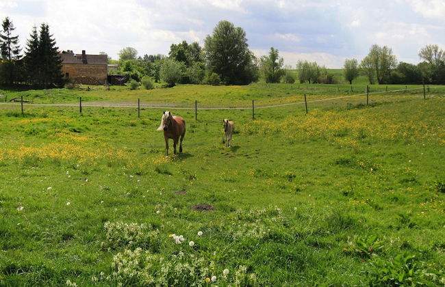 Ferienhaus, Zahrensdorf - Photo 12