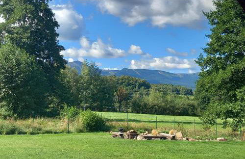 Dolina Sosny - Foto 2