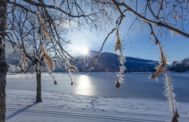 Superior # 4A mit Sauna - Foto 20