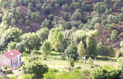 Turismo Rural Macieira Brava - Foto 27