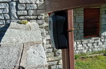 Panoramic Eagle - Photo 24