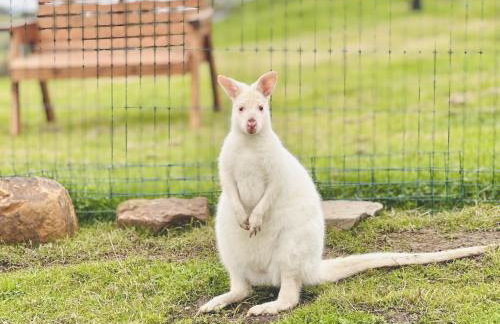 Parlour Barn - Photo 57