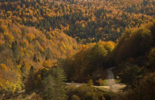 Acogedora casa rural a los pies de la Selva Irati - Foto 11