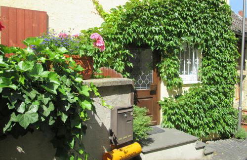 Übernachten in der Kaiserpfalz - Foto 10