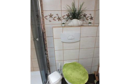 _The Rose_ - Foto 19