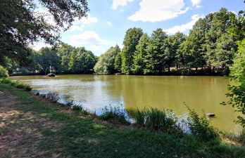 Ferienwohnung Rhöner WeitBlick - Foto 35