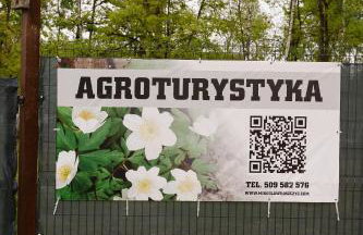 Zawilcowa Dolina - Foto 20