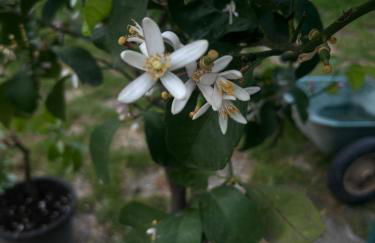 Punta Del Corno Agriturismo - Foto 42