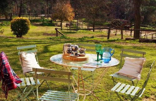 LOS TILOS Casa rural en el campo. - Photo 17