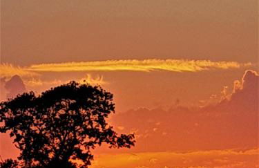 Primrose Cottage - Photo 26