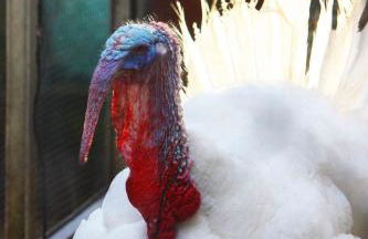 Apartamentos Paraje San Gines - Foto 42