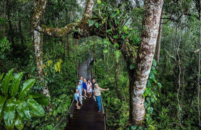 Escursione a Kuranda in treno panoramico e funivia - Foto 8