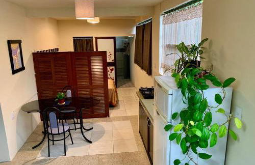 Atelier que virou um Loft em florianopolis - Foto 13