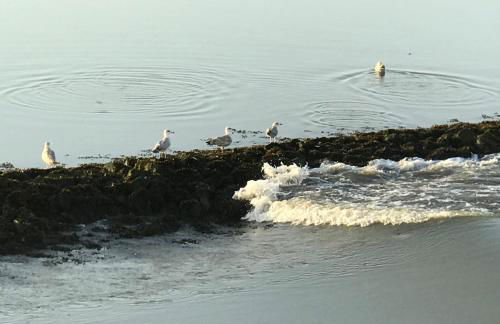 Ferienwohnung Ausguck - Foto 26