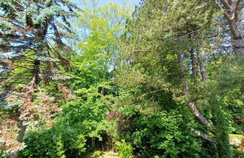 Villa 100 m du Touquet entre forêt et mer - Foto 24