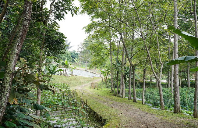 OYO Homes 91006 Eco Tourism Desa Cibodas Areng 5 Syariah - Photo 26