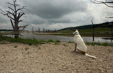 Forest Views-Dog friendly-Bonus Camper! - Foto 26