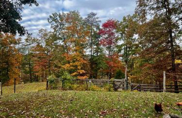 Kettlestone - Foto 20