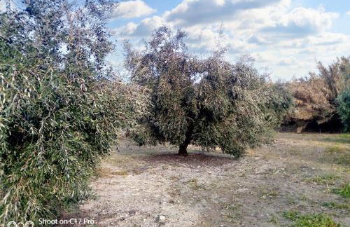 Charming House with Pool in Montilla - Foto 57