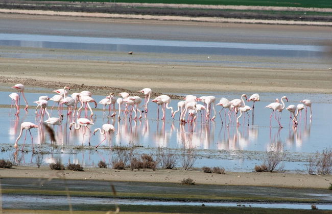 Detached Rural and Rustic House With a Private Swimming Pool - Photo 19