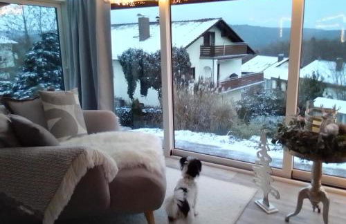 Ferienhaus Waldblick Heimbuchenthal - mit Kamin, Wintergarten und Terrasse - Foto 16