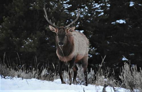 Lone Mountain Retreat - Foto 32