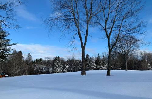 Cottage in the woods - Foto 26