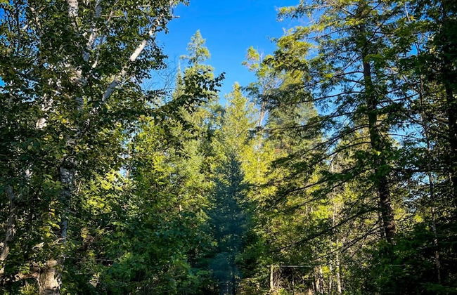 Firefly Lodge! Boardman River! Hot Tub! Woodstove! - Foto 26