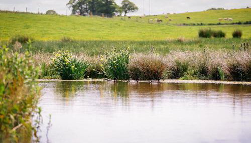 Dairyman's Cottage - Photo 4