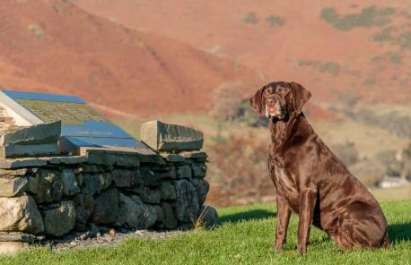 Stable Barn - Foto 23