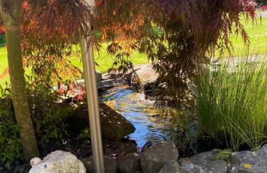 Urlaub an der Baybachklamm - Foto 15