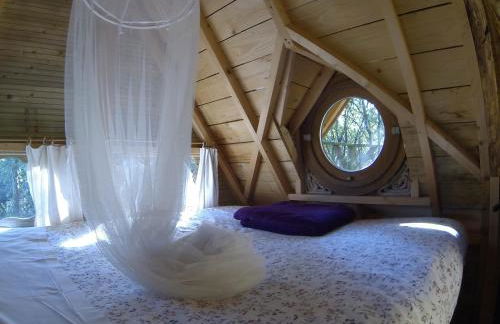 Dihan Evasion - Foto 37