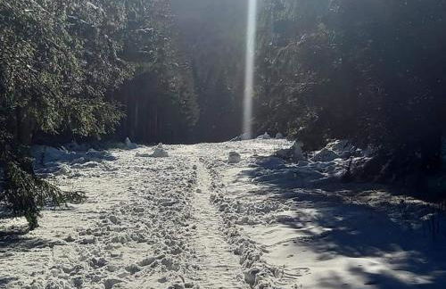 Heidehof Hellenthal - Foto 53