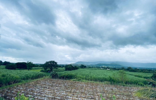 ingawale farmhouse - Photo 40