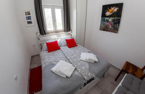 Villa BiBo - Foto 8