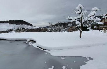 Paradies 1 - Foto 51