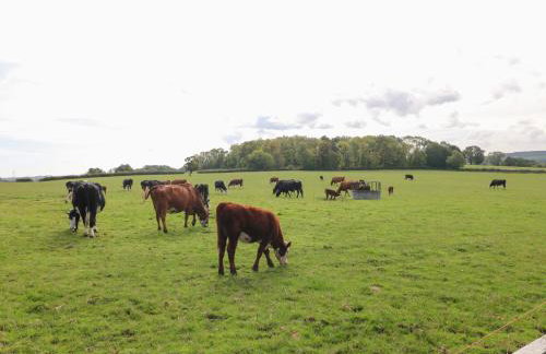 Far Coley Farm & Log Cabin - Foto 66