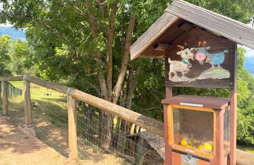 Olimpo Dolomitico - Photo 26