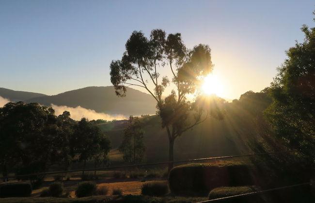 The Black Sparrow - Photo 44