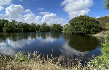 Corvatos Casas do Monte - Foto 46