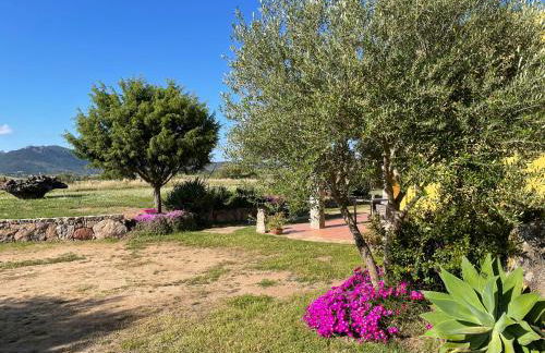 Agriturismo Campesi casale tra le vigne - Photo 10