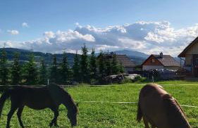 POD STARĄ PODKOWĄ komfortowy domek z kominkiem - Foto 79